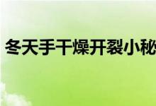 冬天手干燥開裂小秘方（手干燥開裂怎么辦）