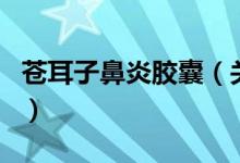 蒼耳子鼻炎膠囊（關(guān)于蒼耳子鼻炎膠囊的介紹）