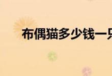 布偶貓多少錢一只（布偶貓價(jià)格介紹）