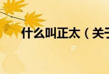 什么叫正太（關(guān)于什么叫正太的介紹）