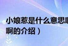 小娘惹是什么意思啊（關于小娘惹是什么意思啊的介紹）