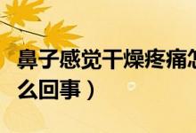 鼻子感覺干燥疼痛怎么回事（鼻子干燥疼痛怎么回事）