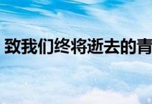 致我們終將逝去的青春觀后感（你有看過嗎）