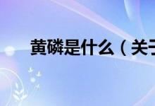 黃磷是什么（關(guān)于黃磷是什么的介紹）