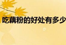 吃藕粉的好處有多少（吃藕粉的好處和壞處）