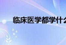 臨床醫(yī)學(xué)都學(xué)什么（主要課程有哪些）