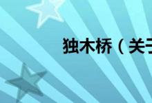 獨(dú)木橋（關(guān)于獨(dú)木橋的介紹）