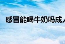 感冒能喝牛奶嗎成人（感冒了能喝牛奶嗎）