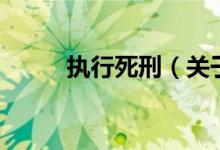 執(zhí)行死刑（關(guān)于執(zhí)行死刑的介紹）