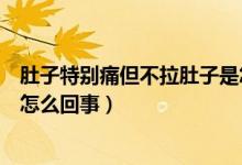 肚子特別痛但不拉肚子是怎么回事（肚子一直疼但不拉肚子怎么回事）