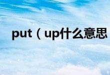 put（up什么意思 put up的意思有什么）