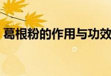 葛根粉的作用與功效禁忌（這里有簡(jiǎn)單介紹）