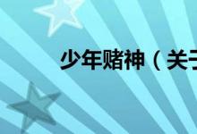 少年賭神（關(guān)于少年賭神的介紹）