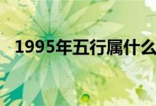1995年五行屬什么（1995年五行是什么）