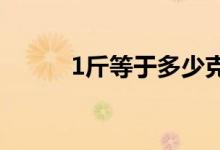 1斤等于多少克（斤是什么單位）