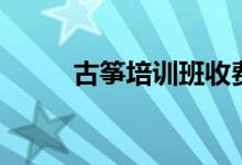 古箏培訓(xùn)班收費標(biāo)準(zhǔn)（花費多少）
