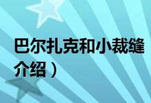 巴爾扎克和小裁縫（關(guān)于巴爾扎克和小裁縫的介紹）