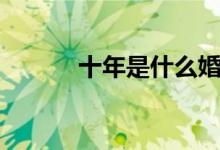 十年是什么婚（十年屬于什么）