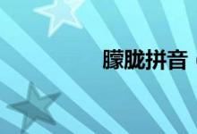 朦朧拼音（朦朧怎么拼）