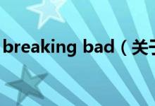 breaking bad（關(guān)于breaking bad的介紹）