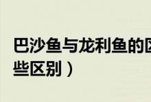 巴沙魚與龍利魚的區(qū)別（巴沙魚和龍利魚有哪些區(qū)別）