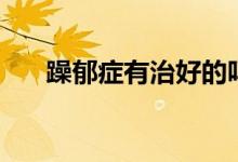 躁郁癥有治好的嗎（躁郁癥能治好嗎）