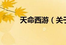 天命西游（關(guān)于天命西游的介紹）