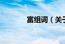富組詞（關(guān)于富組詞的介紹）