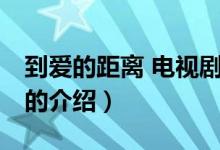 到愛的距離 電視?。P(guān)于到愛的距離 電視劇的介紹）