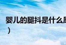 嬰兒的腿抖是什么原因（嬰兒腿抖是怎么回事）