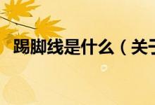 踢腳線是什么（關(guān)于踢腳線是什么的介紹）