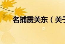 名捕震關(guān)東（關(guān)于名捕震關(guān)東的介紹）
