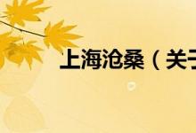 上海滄桑（關于上海滄桑的介紹）