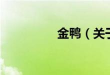 金鴨（關(guān)于金鴨的介紹）