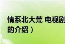 情系北大荒 電視?。P(guān)于情系北大荒 電視劇的介紹）