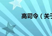 高司令（關(guān)于高司令的介紹）