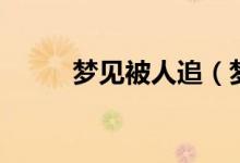 夢見被人追（夢見被人追的解析）