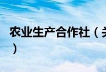 農(nóng)業(yè)生產(chǎn)合作社（關(guān)于農(nóng)業(yè)生產(chǎn)合作社的介紹）