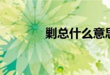 剿總什么意思（剿總的意思）