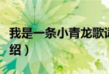 我是一條小青龍歌詞（我是一條小青龍歌曲介紹）