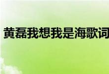 黃磊我想我是海歌詞（我想我是海整首歌詞）