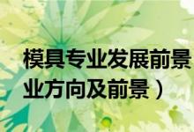 模具專(zhuān)業(yè)發(fā)展前景（2022模具設(shè)計(jì)與制造就業(yè)方向及前景）