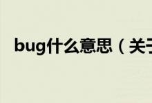 bug什么意思（關(guān)于bug什么意思的介紹）
