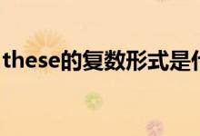 these的復數(shù)形式是什么（these的復數(shù)形式）