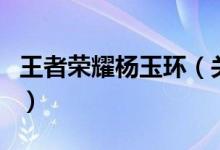 王者榮耀楊玉環(huán)（關(guān)于王者榮耀楊玉環(huán)的介紹）