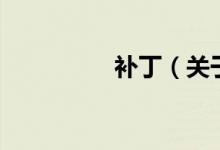 補丁（關于補丁的介紹）