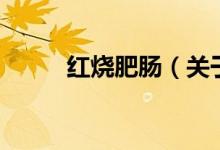 紅燒肥腸（關(guān)于紅燒肥腸的介紹）