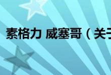 素格力 威塞哥（關(guān)于素格力 威塞哥的介紹）