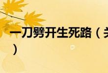 一刀劈開生死路（關(guān)于一刀劈開生死路的介紹）