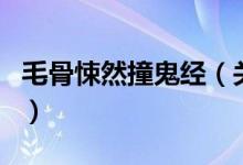毛骨悚然撞鬼經(jīng)（關(guān)于毛骨悚然撞鬼經(jīng)的介紹）